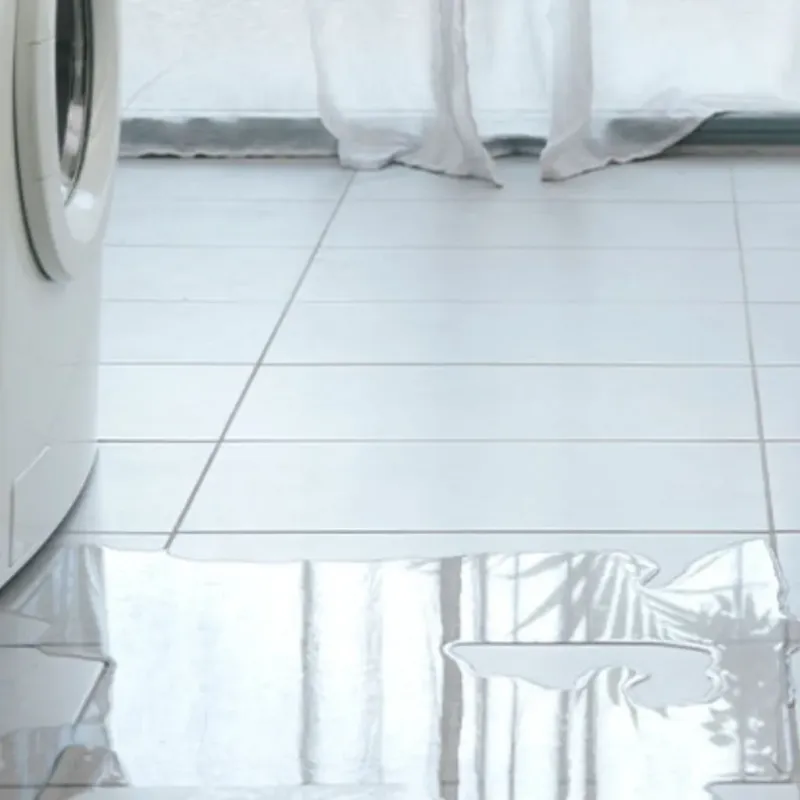 Appliance Leak Cleanup in West Peoria, IL