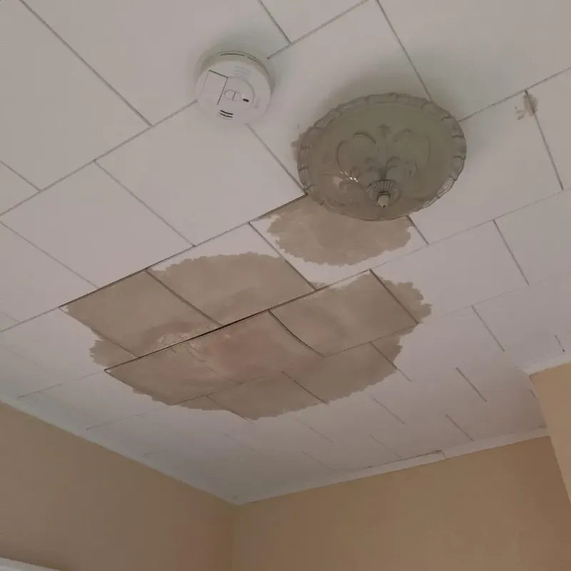 Ceiling Water Damage Repair in West Peoria, IL