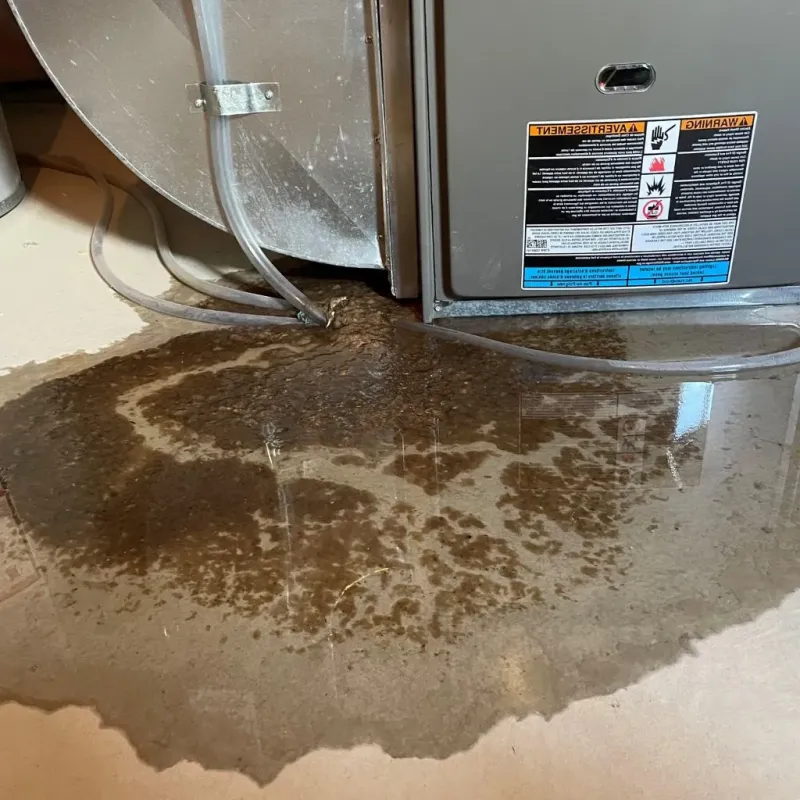 Pipe Burst and Leak Restoration in West Peoria, IL